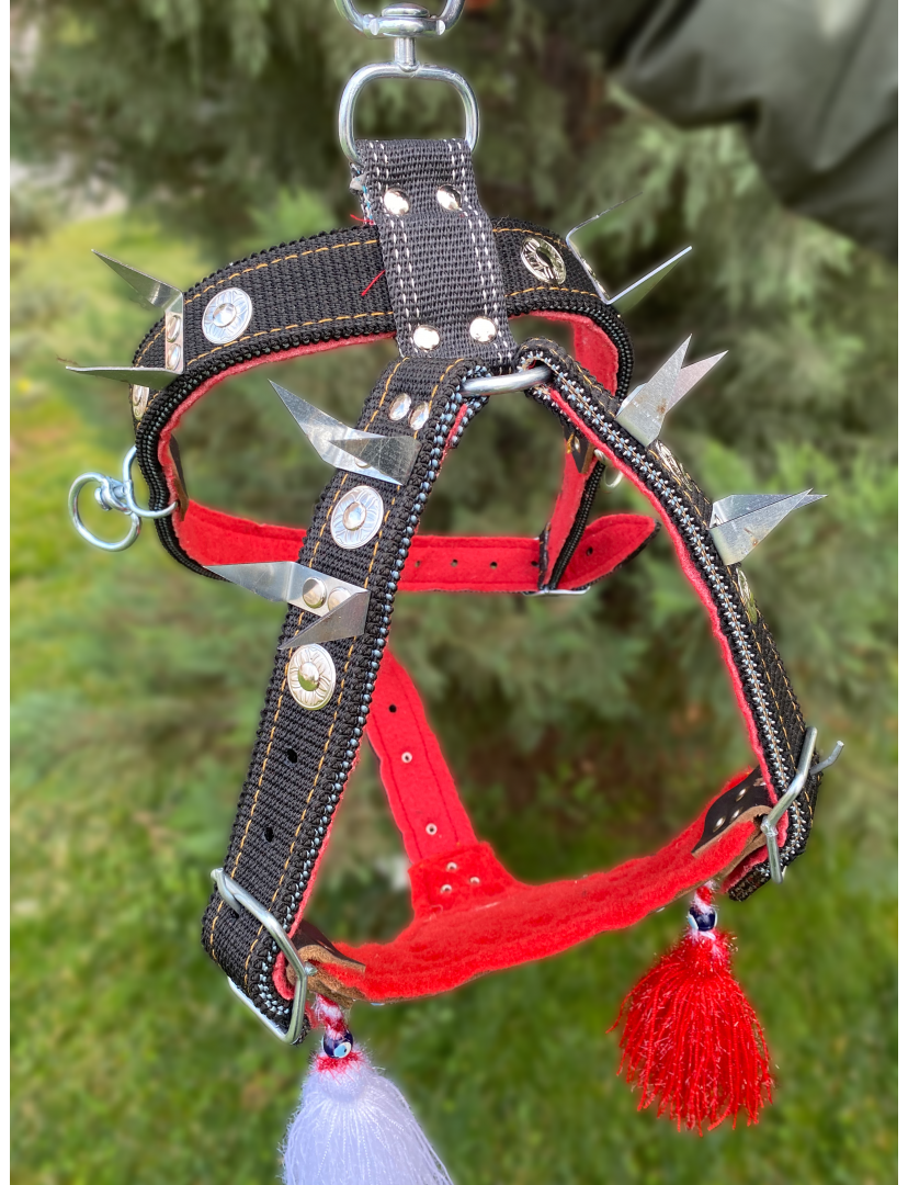 Kangal Çoban Gladyatör Göğüs Tasması Çift Kat 1. Sınıf