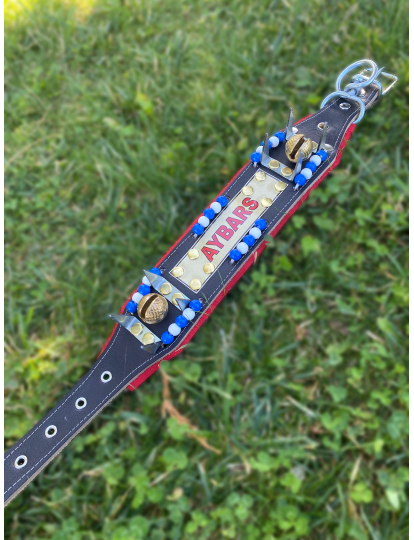 Yavru Kangal Çoban Tasması İsteğinize Özel İsimli 2 Zilli 60 Cm