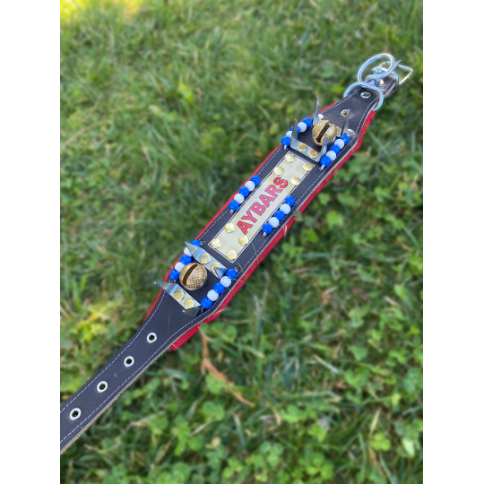 Yavru Kangal Çoban Tasması İsteğinize Özel İsimli 2 Zilli 60 Cm