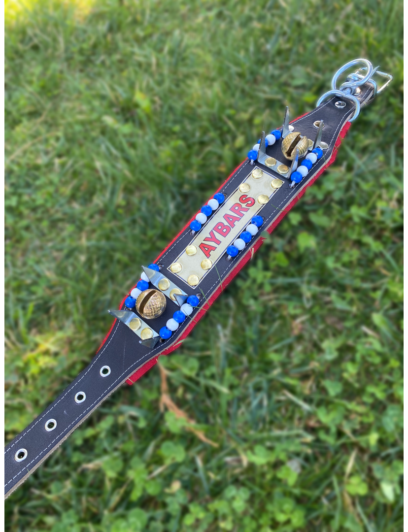 Yavru Kangal Çoban Tasması İsteğinize Özel İsimli 2 Zilli 60 Cm