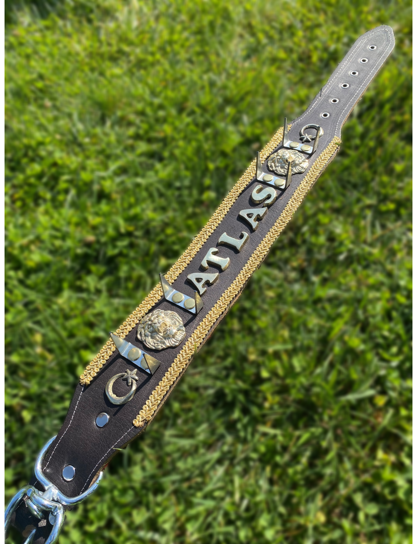 Kangal Çoban Köpek Tasması İsteğinize Özel İsimli 3 Boyut Harf Hakiki Deri