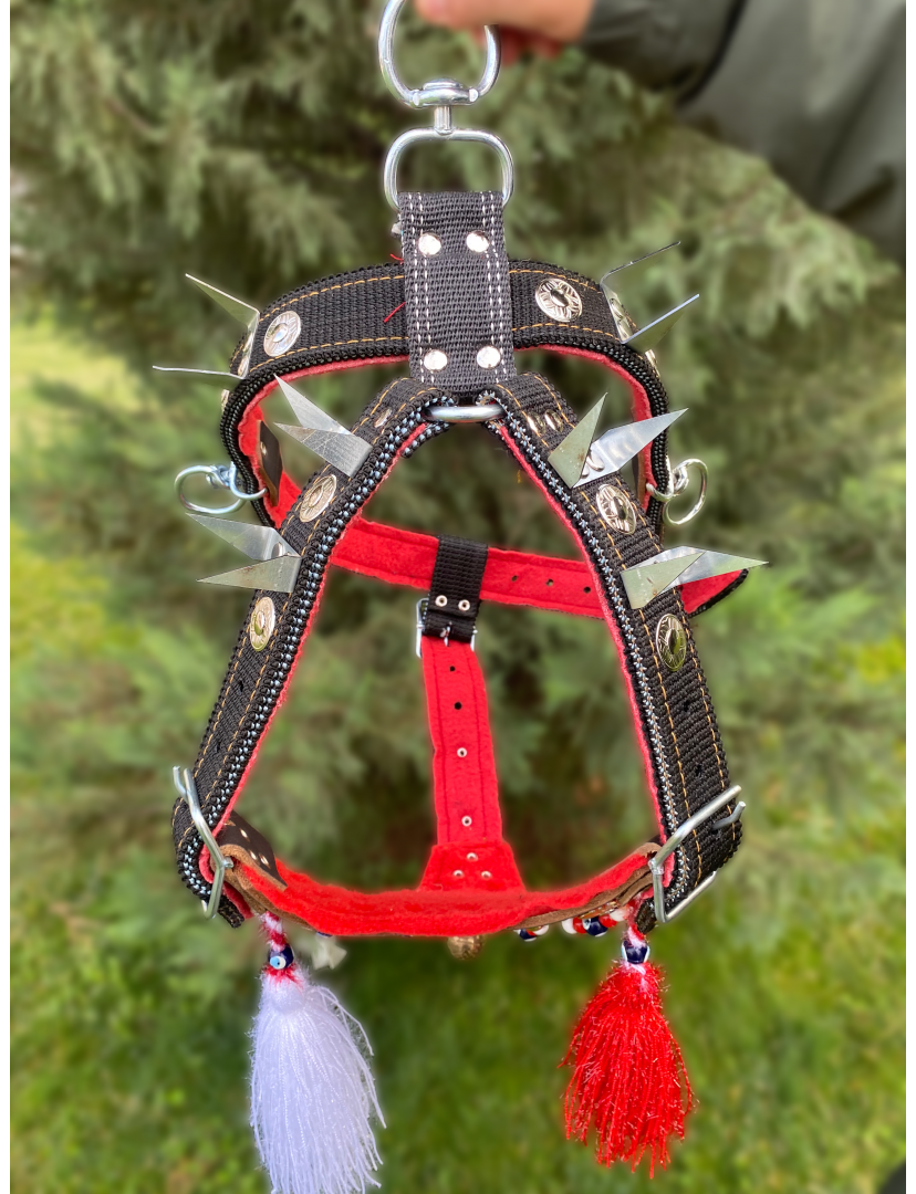 Kangal Çoban Gladyatör Göğüs Tasması Çift Kat 1. Sınıf