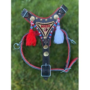 İsteğinize Özel İsimli Kangal Gladyatör Göğüs Tasması 