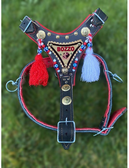 İsteğinize Özel İsimli Kangal Gladyatör Göğüs Tasması 