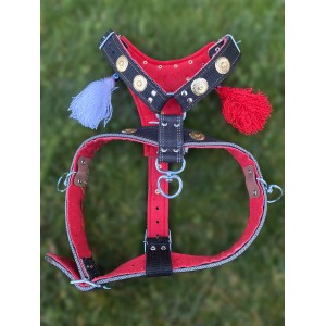 İsteğinize Özel İsimli Kangal Gladyatör Göğüs Tasması 