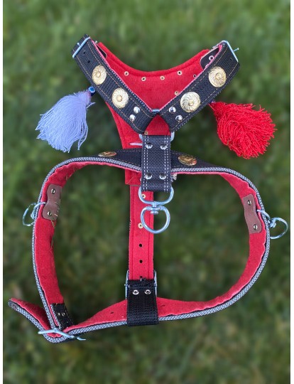 İsteğinize Özel İsimli Kangal Gladyatör Göğüs Tasması 