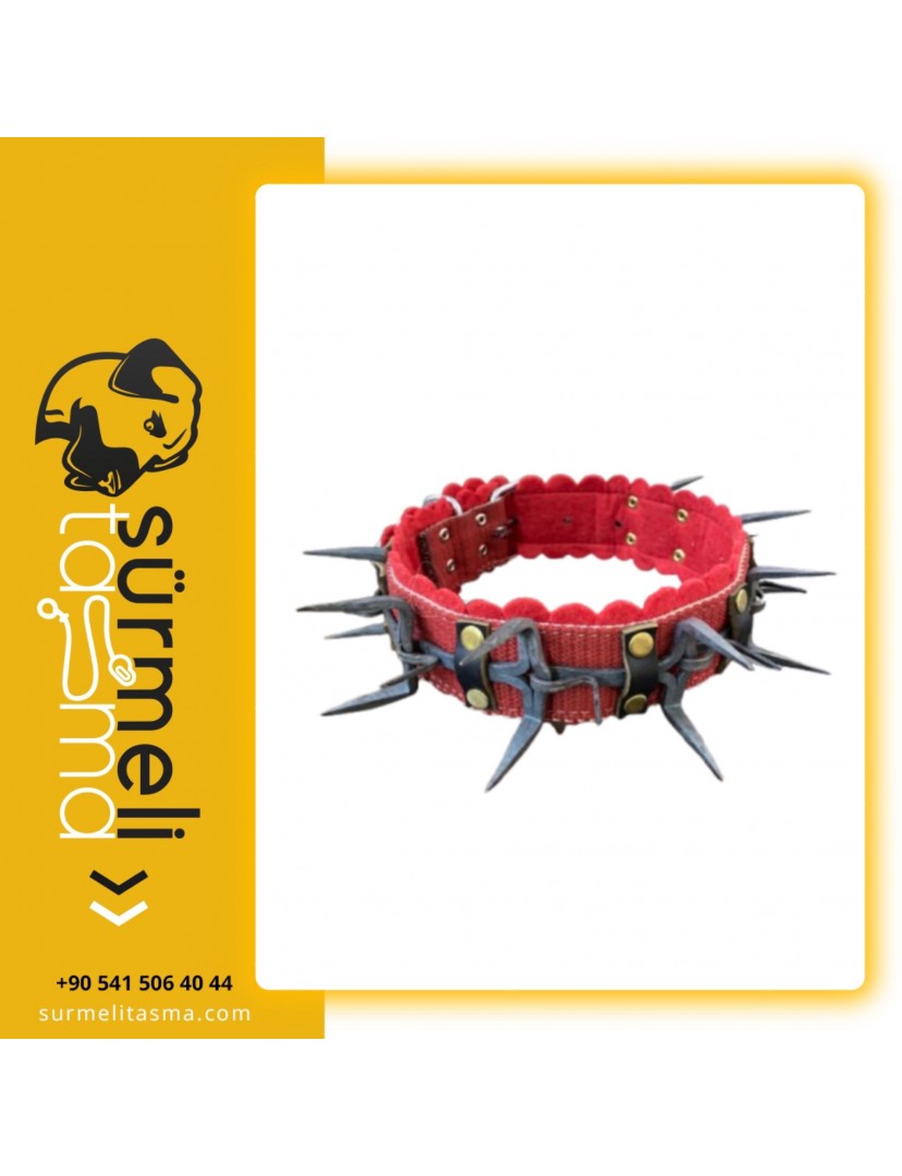 Kangal Köpek Tasması Çoban El Dövmesi Çelik 1. Sınıf 80 CM