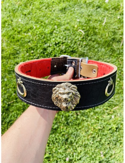 Kangal Köpek Tasması Hakiki 1. Sınıf Manda Derisi 5 Cm Genişlik