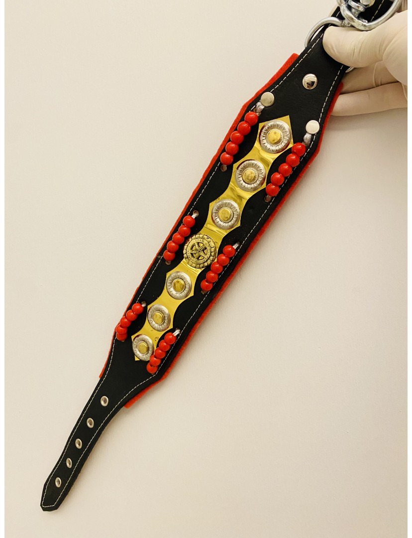 Yavru Kangal Köpek Tasması Boncuklu Özel Seri