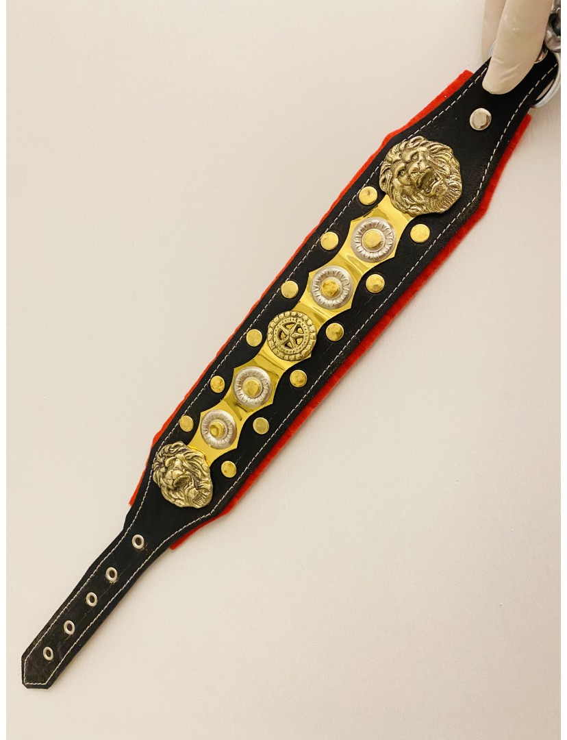 Hakiki Deri Yavru Kangal Köpek Tasması 60 Cm Özel Seri