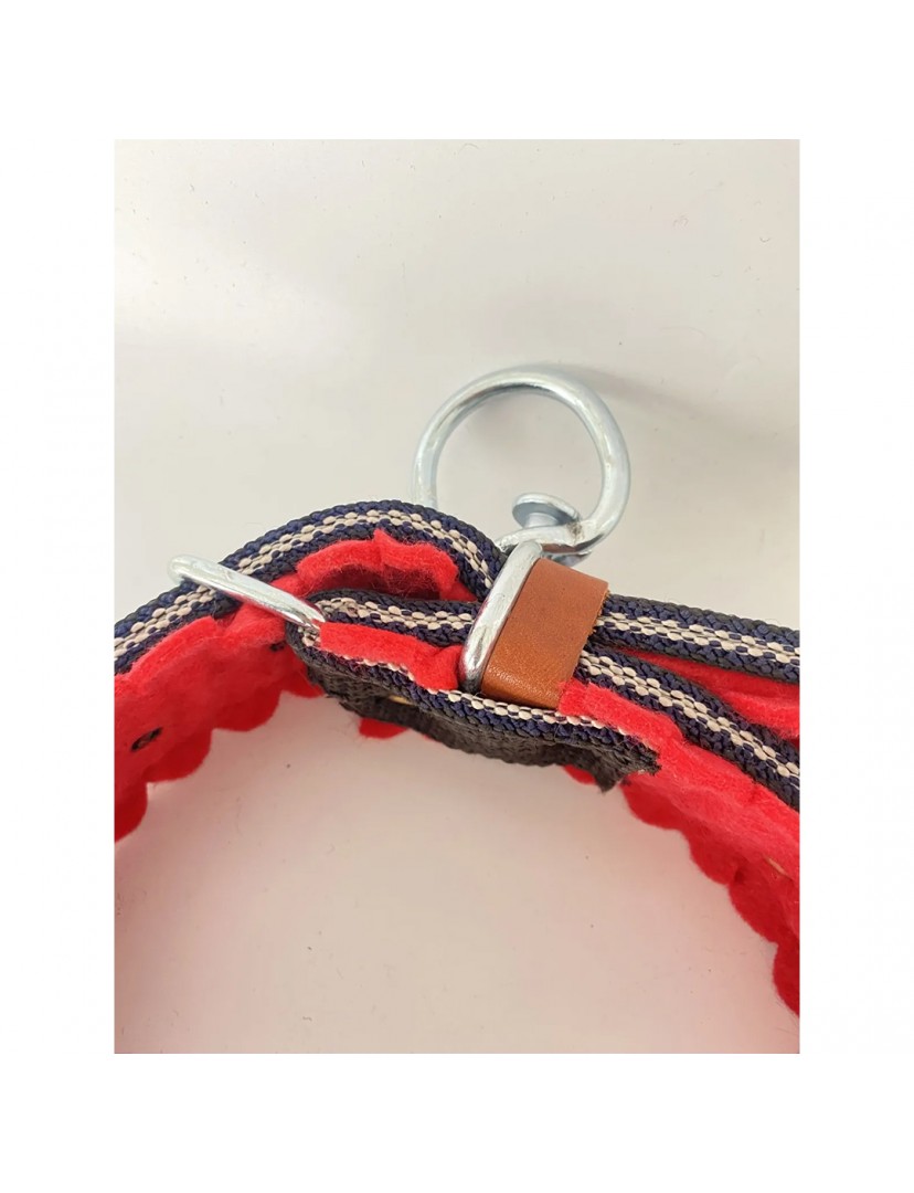 5 Zilli Çift Kat Kangal Köpek Tasması 1. Sınıf Dayanıklı