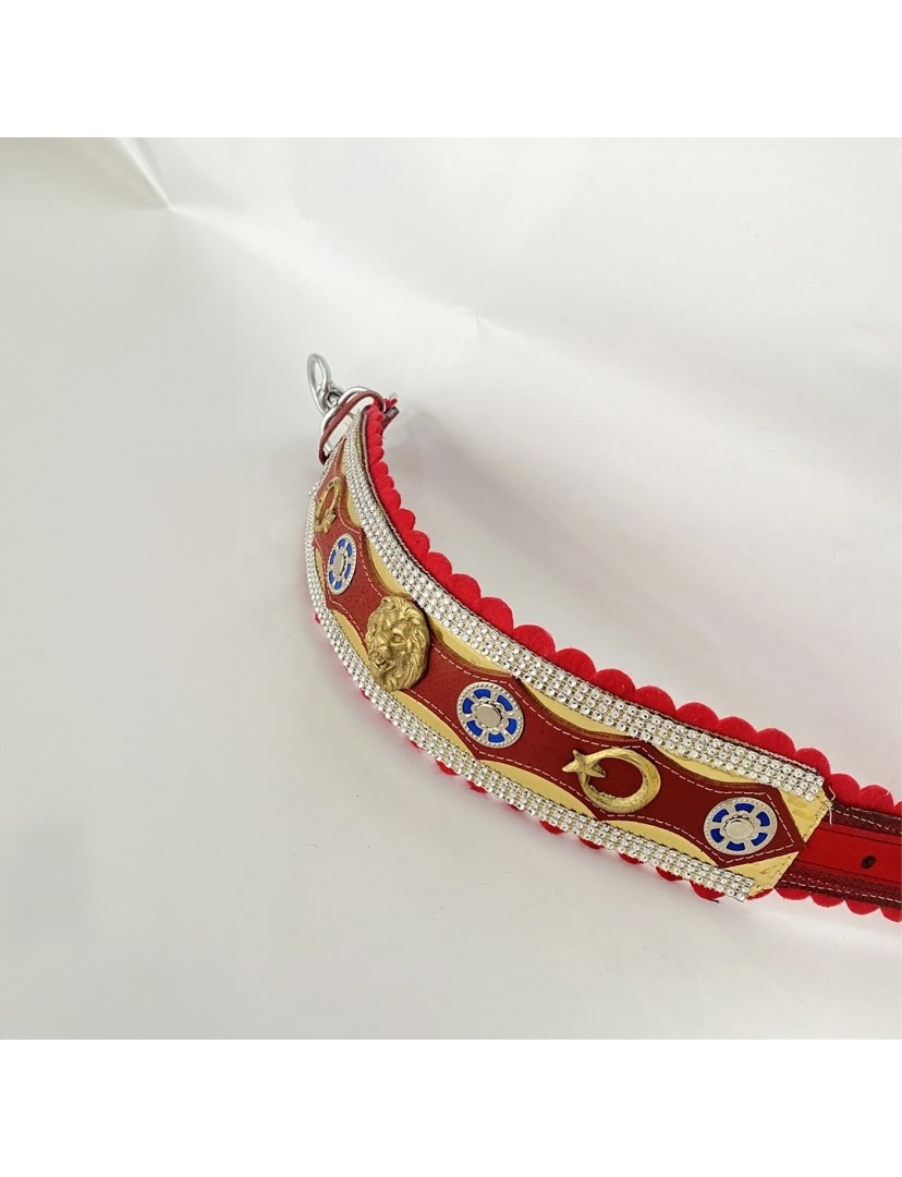 Zilsiz Aslan Başlı Kangal Köpek Tasması 1. Sınıf Dayanıklı