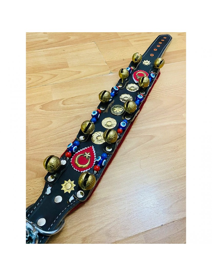 10 Zilli Deri Kangal Köpek Tasması