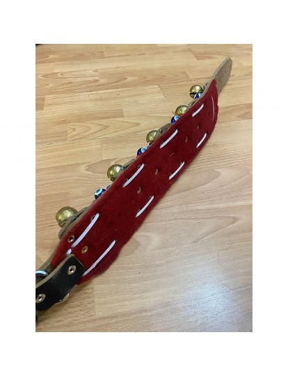 10 Zilli Deri Kangal Köpek Tasması