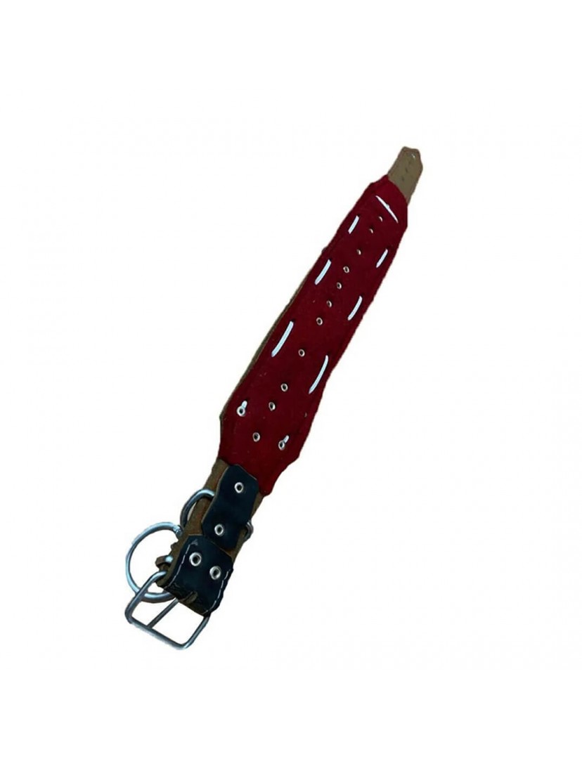 3 Zilli Geniş Deri Köpek Tasması