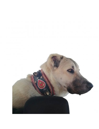 4 Zilli Deri Kangal Köpek Tasması