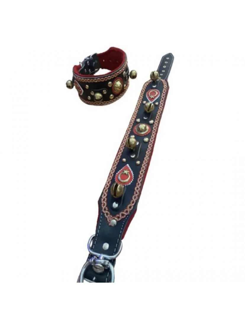 4 Zilli Deri Kangal Köpek Tasması