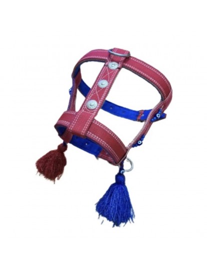 Belden Kangal Köpek Tasması Çift Kat Palaska 1. Sınıf