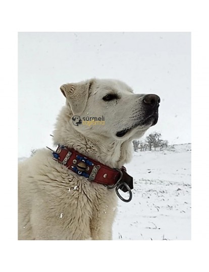 Deri Kangal Köpek Tasması Çoban 2 Zilli
