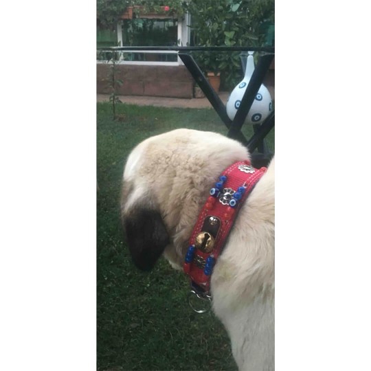 Kangal Köpek Tasması 2 Zilli 74 Cm Palaska