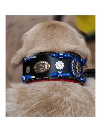 Geniş Hakiki Deri Köpek Boyun Tasması 1. Sınıf