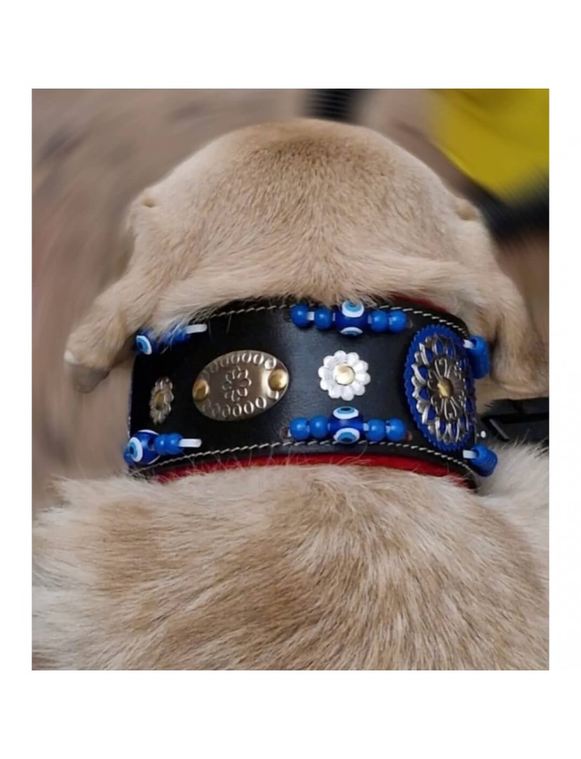 Geniş Hakiki Deri Köpek Boyun Tasması 1. Sınıf