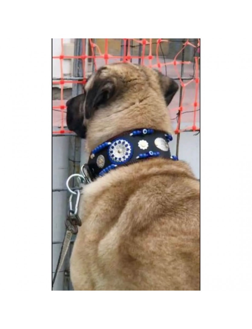 Geniş Hakiki Deri Köpek Boyun Tasması 1. Sınıf