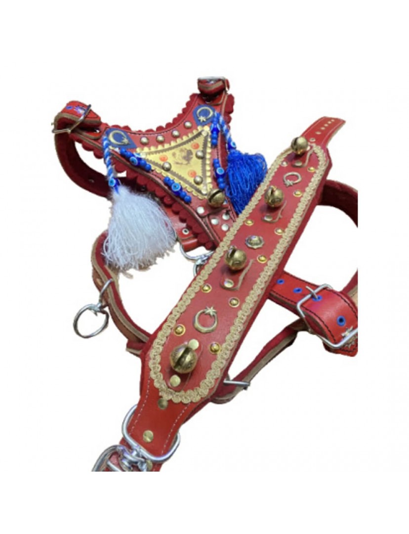 Gladyatör Kangal Köpek Seti Göğüslük Ve Boyunluk Hakiki Deri Kırmızı 