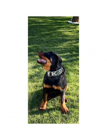 K9 Köpek Tasması 60 Cm - Rottweiler Dogo Golden Pitbull K9 Cane Corso