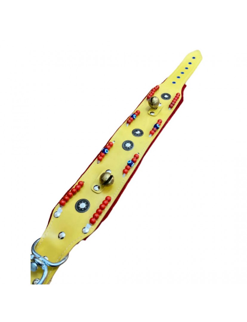 Zilli Geniş Kangal Köpek Tasması Ultra Dayanıklı Pvc