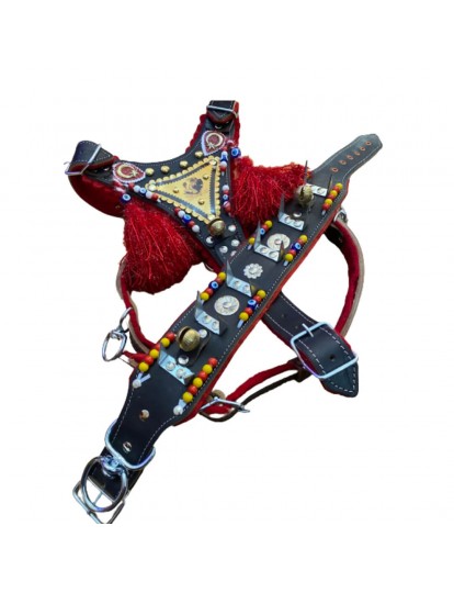 Kangal Köpek Gladyatör Tasma Seti Çoban Hakiki Manda Derisi