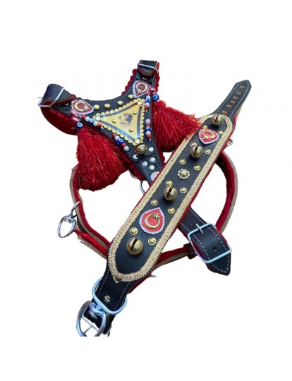 Gladyatör Kangal Köpek Tasma Seti Hakiki Manda Derisi Göğüslük Boyunluk