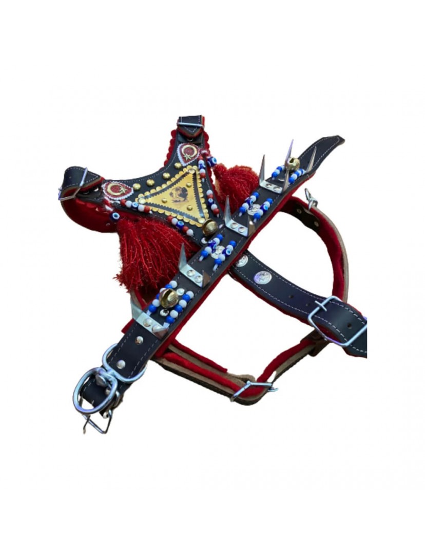 Gladyatör Kangal Köpek Tasma Seti Çoban Hakiki Deri Göğüslük Boyunluk