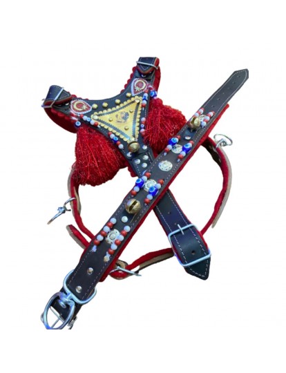 Gladyatör Kangal Köpek Tasma Seti Hakiki Deri Göğüslük Ve Boyunluk