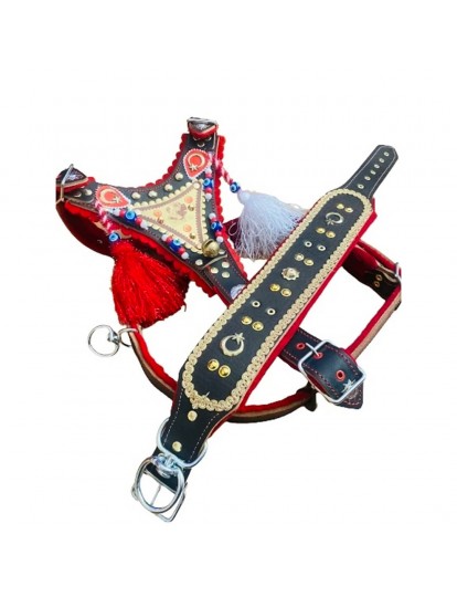 Gladyatör Kangal Köpek Tasma Seti Zilsiz Model Hakiki Deri