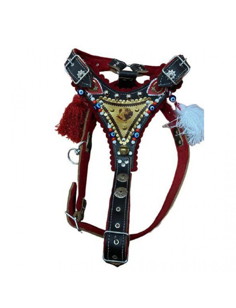 Gladyatör Göğüsten Deri Kangal Tasması