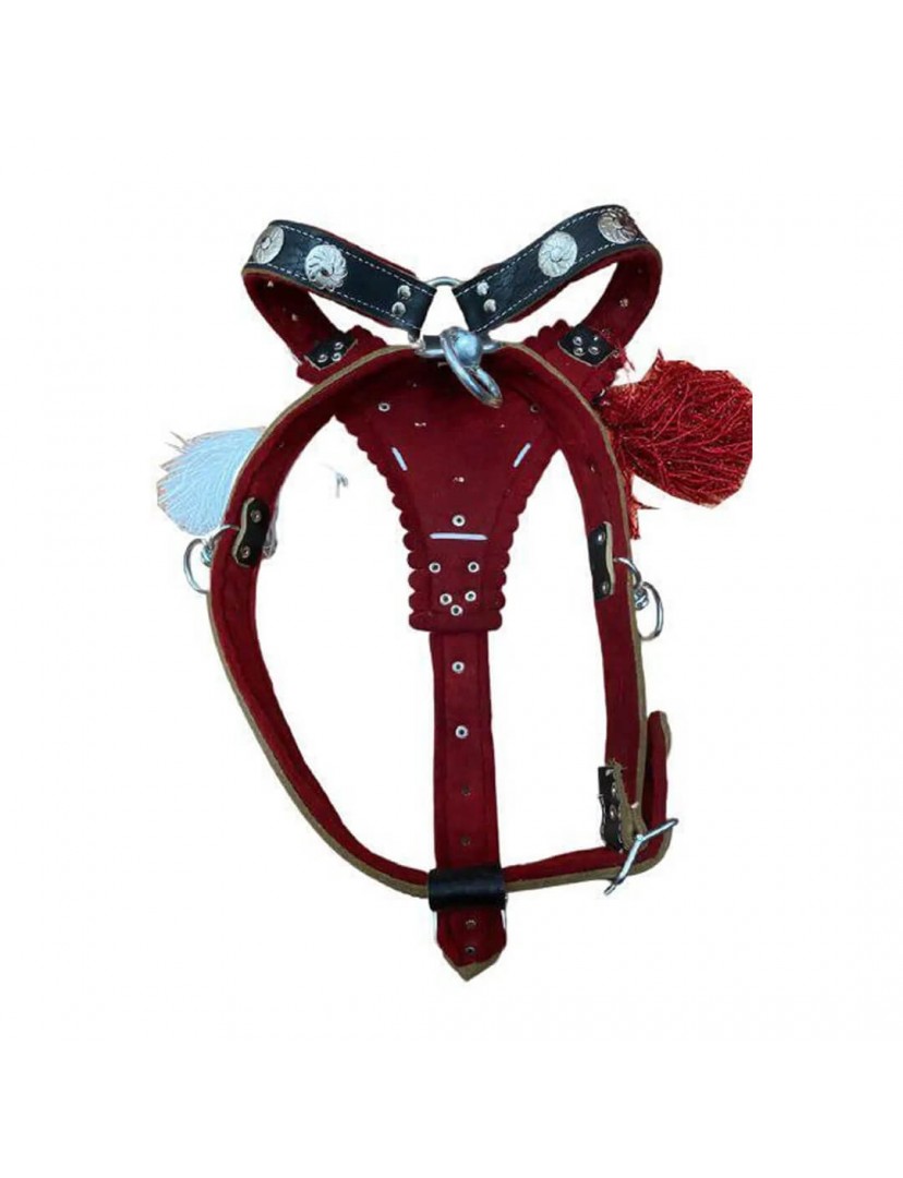 Gladyatör Göğüsten Deri Kangal Tasması