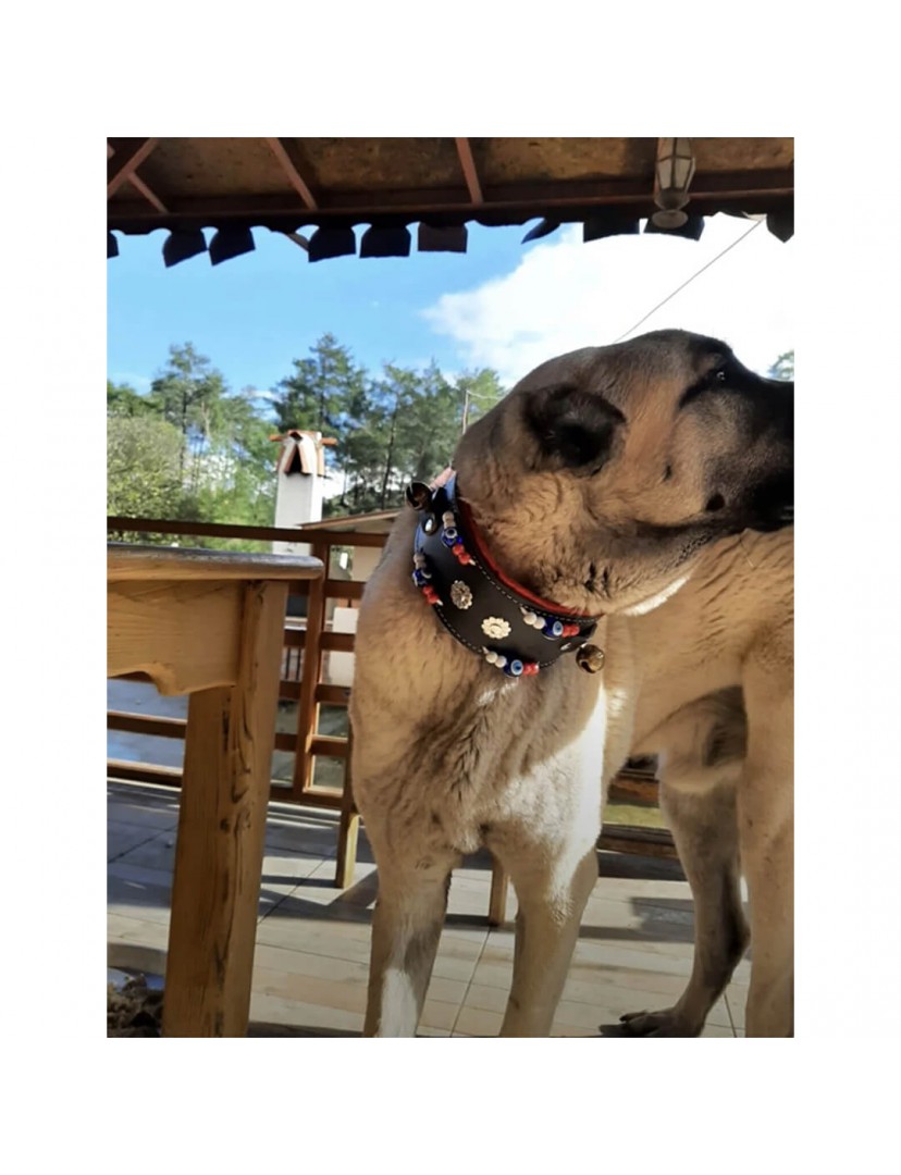 2 Zilli Geniş Deri Köpek Tasması