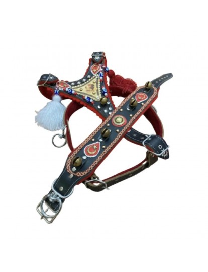 Gladyatör Kangal Köpek Tasma Seti Hakiki Deri Göğüslük Boyunluk 1. Sınıf