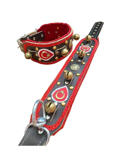 Zilli Deri Kangal Köpek Tasması