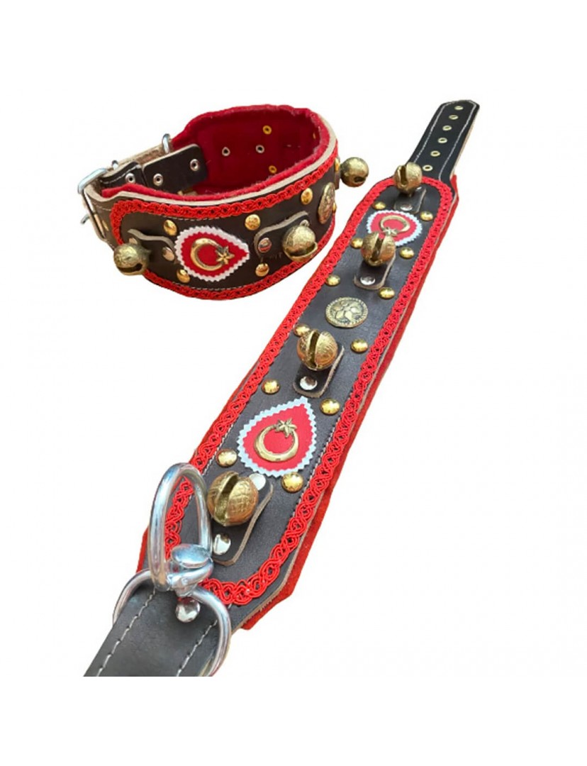 Zilli Deri Kangal Köpek Tasması