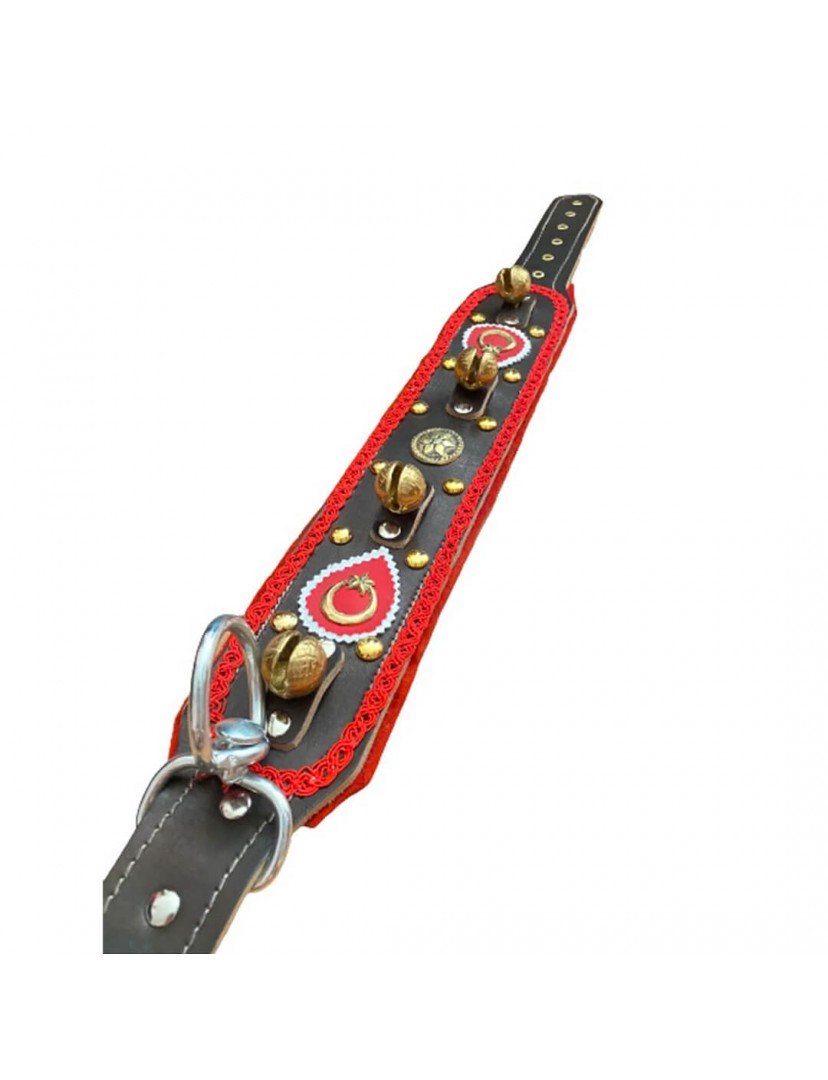 Zilli Deri Kangal Köpek Tasması