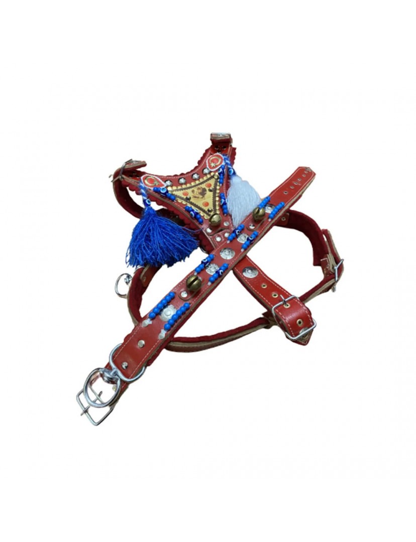 Gladyatör Kangal Köpek Tasma Seti Göğüslük Boyunluk Kırmızı