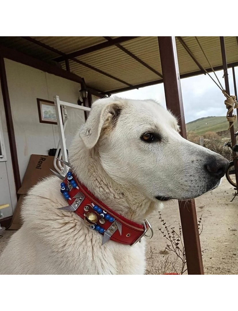 Kangal Köpek Tasması Çoban Zilli Hakiki Deri
