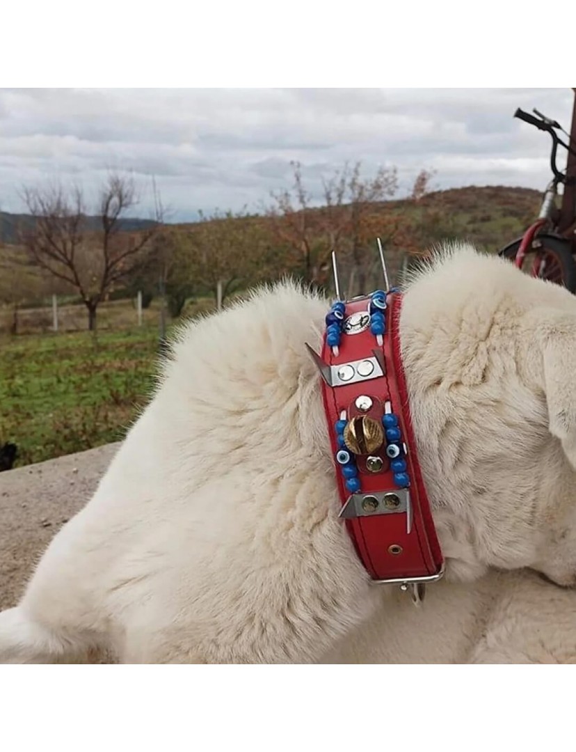 Kangal Köpek Tasması Çoban Zilli Hakiki Deri