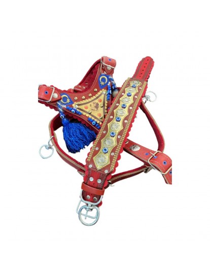 Kangal Köpek Tasma Seti Göğüslük Boyunluk