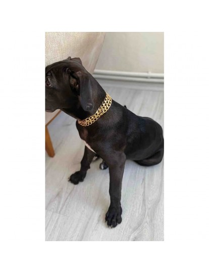 Küçük Ve Orta Irk Köpek Kolyesi Üç Sıra 50 Cm Ayarlanabilir 1. Sınıf