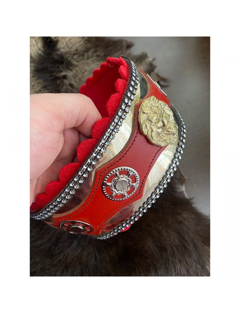 Kangal Köpek Tasması Lion Design