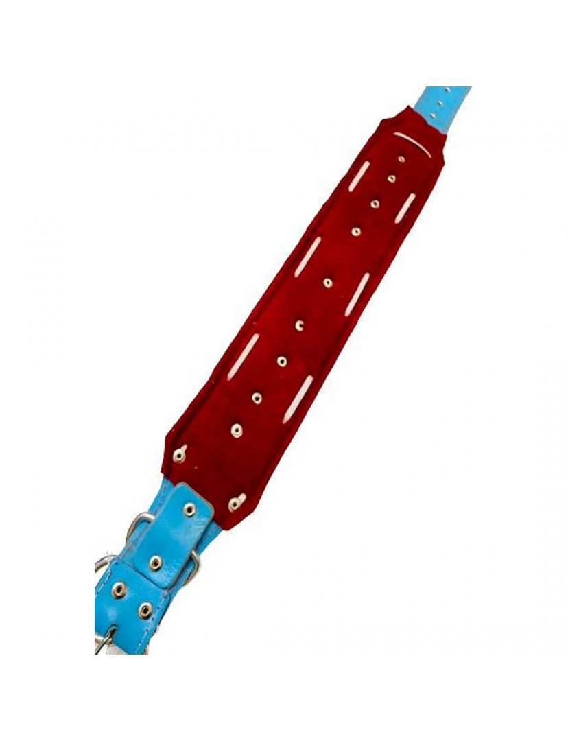 2 Zilli Geniş Deri Köpek Tasması Mavi