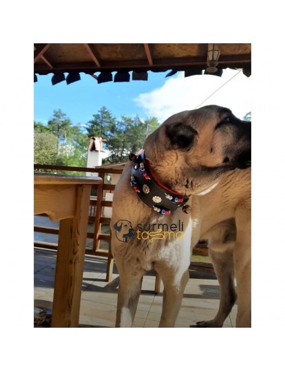 Kangal Köpek Tasması 2 Zilli Hakiki Manda Derisi